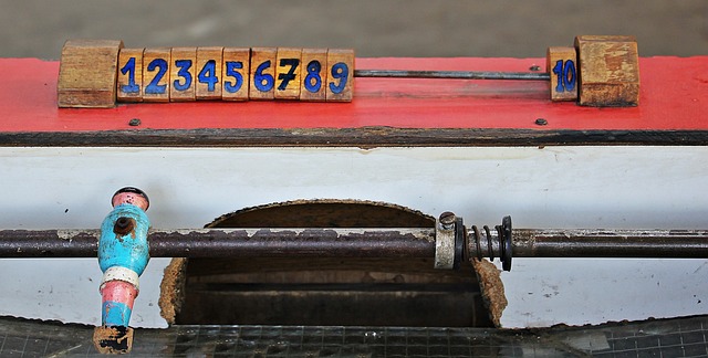 来自马来西 来自马来西