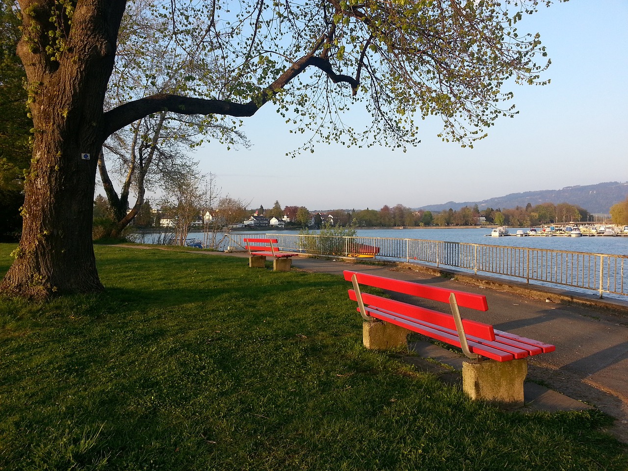 尤为重要 尤为重要