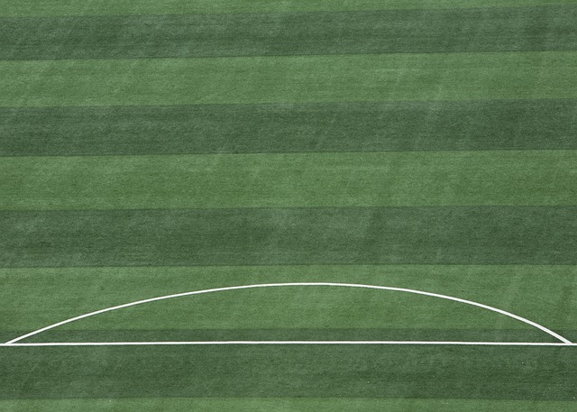 他们在关键 他们在关键