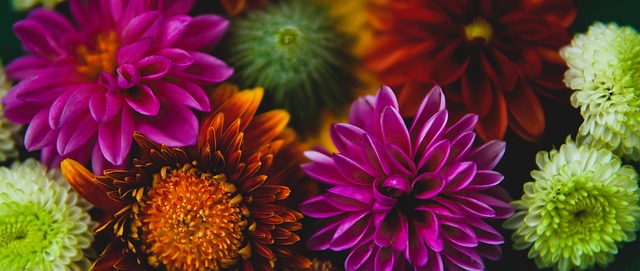 随着这笔交 随着这笔交