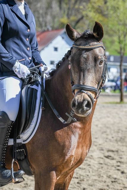 将被作为重 将被作为重