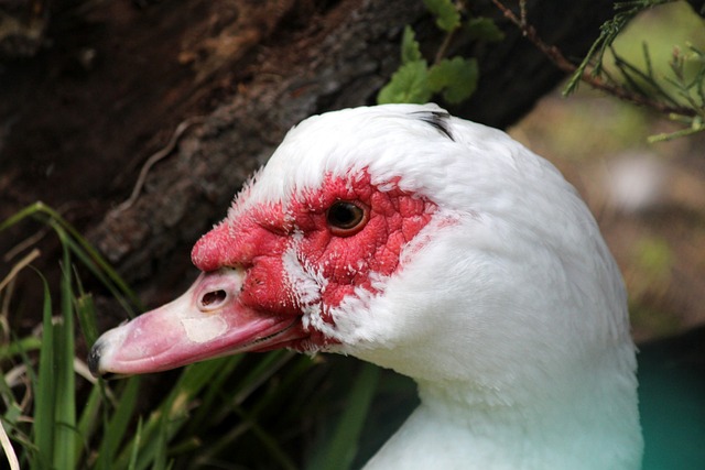 方面驚人的 方面驚人的