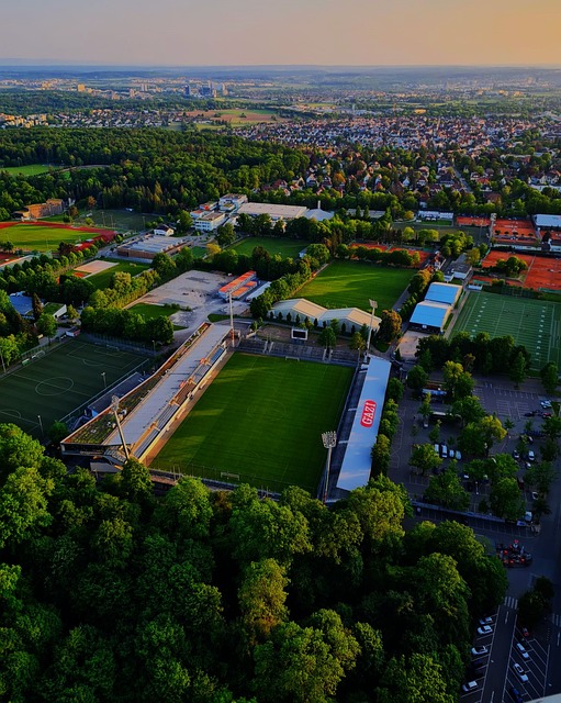 中徘徊于中 中徘徊于中