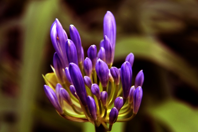 的平台上都 的平台上都