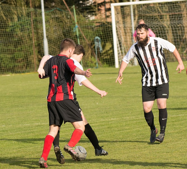 进一步巩固 进一步巩固